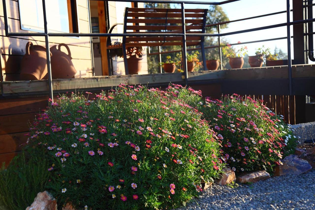 Cabanas Y Spa Costa Patagonia - Piscina Climatizada Пичилему Екстериор снимка