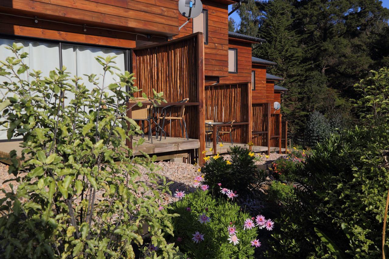 Cabanas Y Spa Costa Patagonia - Piscina Climatizada Пичилему Екстериор снимка