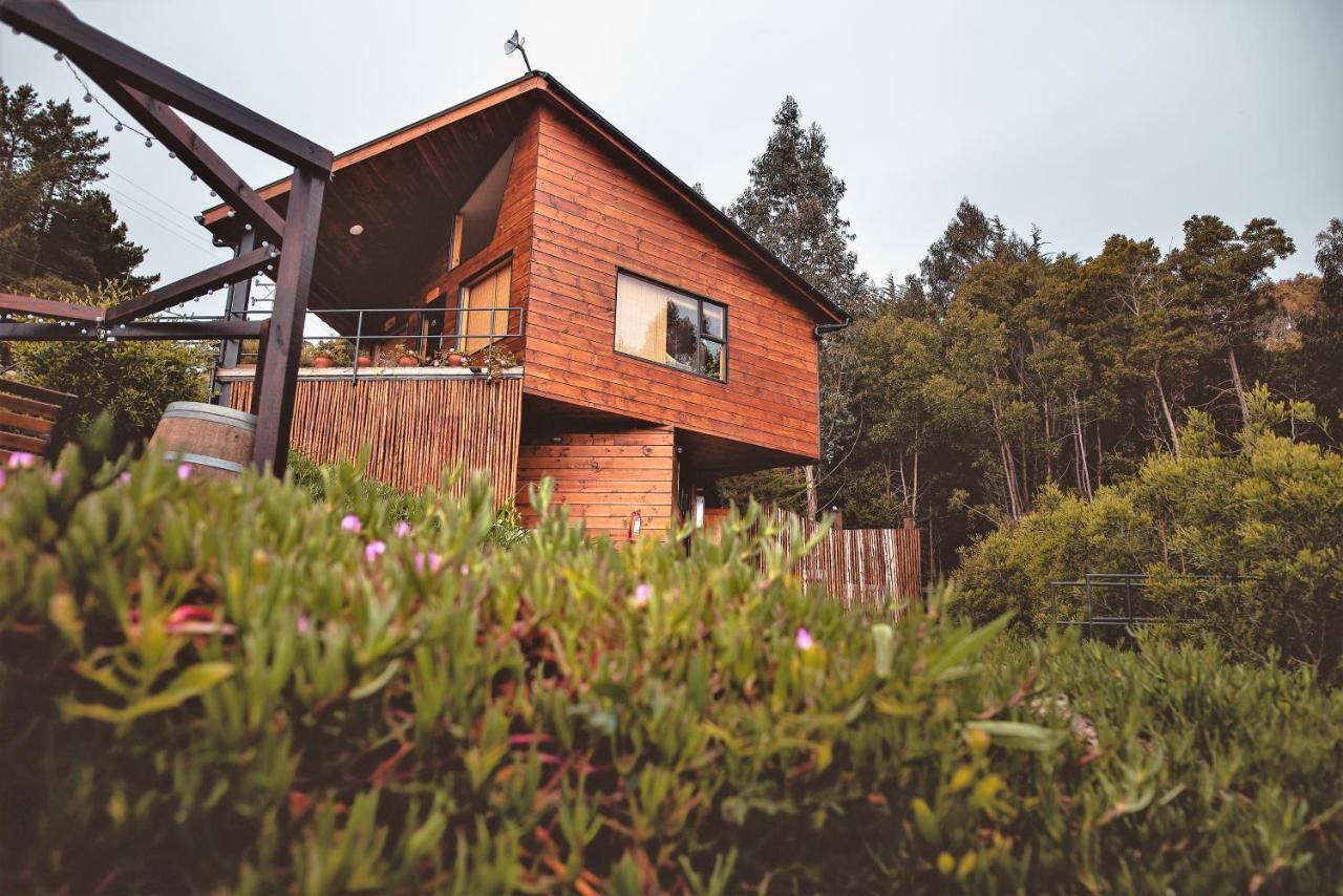 Cabanas Y Spa Costa Patagonia - Piscina Climatizada Пичилему Екстериор снимка